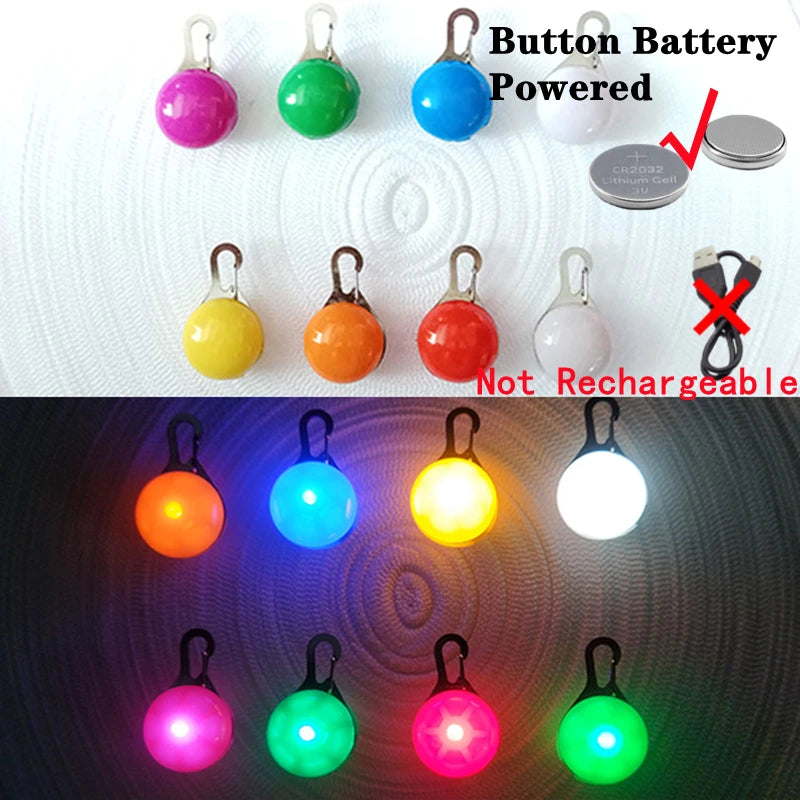 Collier Lumineux USB pour Chien & Chat – LED Sécurité de Nuit avec Pendentif