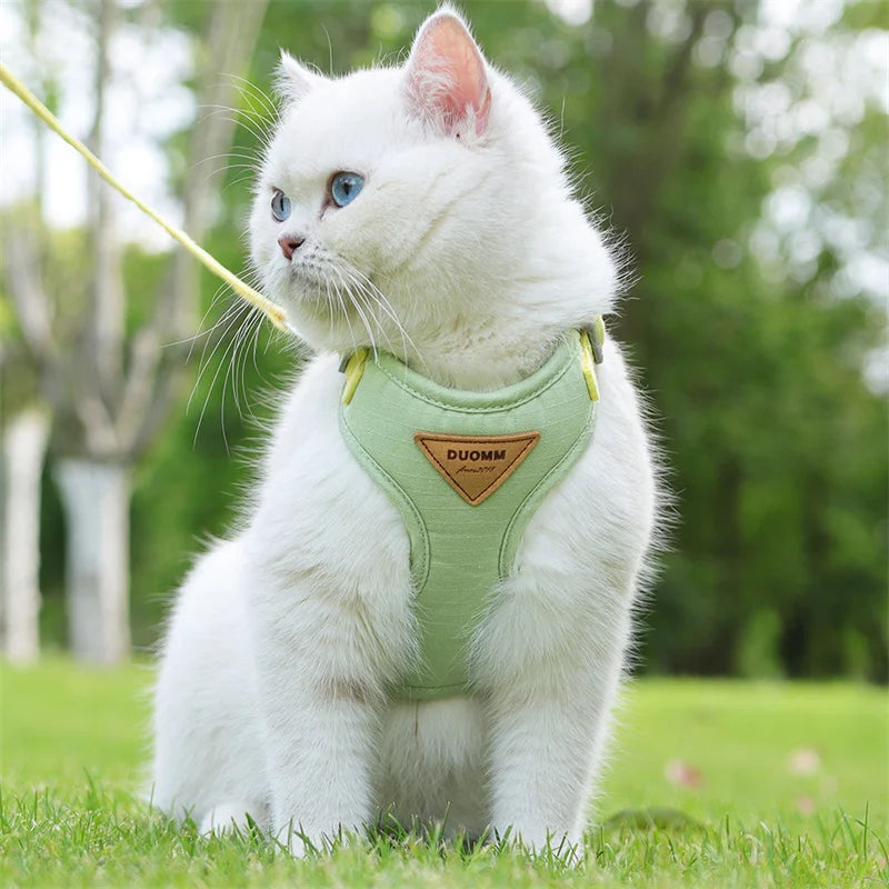 Harnais et Laisse pour Chien ou Chat – Ensemble Confortable et Respirant (XS à L)