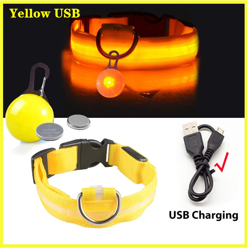 Collier Lumineux USB pour Chien & Chat – LED Sécurité de Nuit avec Pendentif