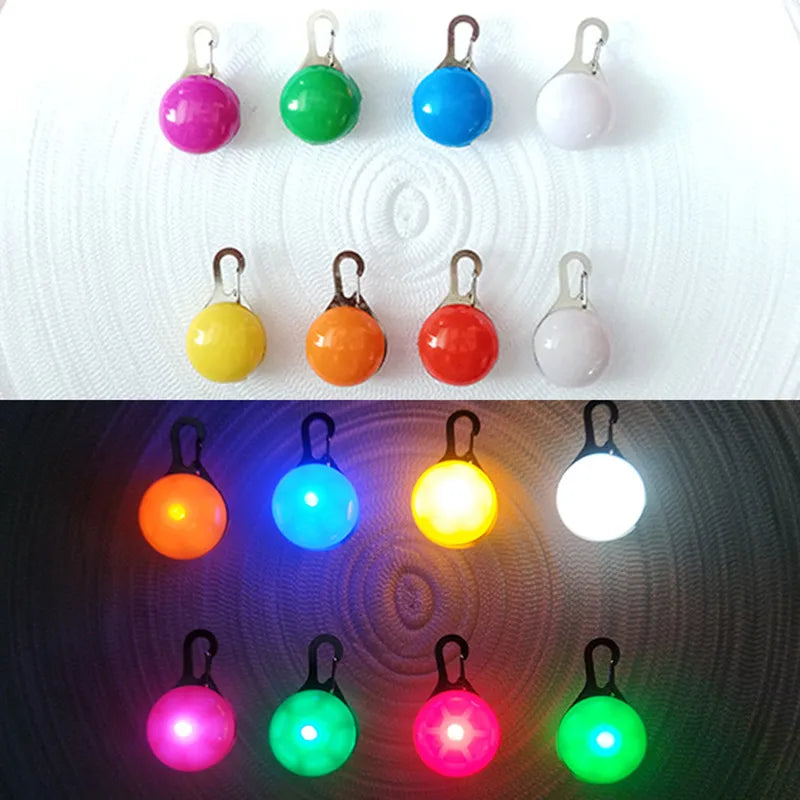 Collier Lumineux USB pour Chien & Chat – LED Sécurité de Nuit avec Pendentif