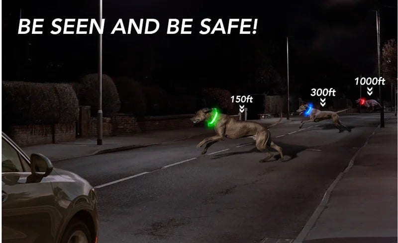 Collier Lumineux USB pour Chien & Chat – LED Sécurité de Nuit avec Pendentif