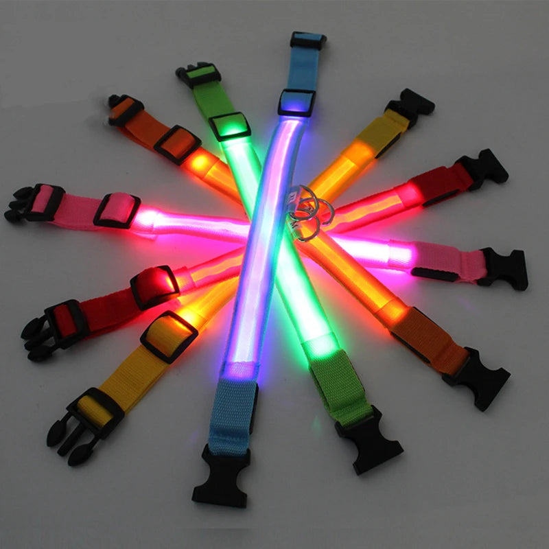 Collier Lumineux USB pour Chien & Chat – LED Sécurité de Nuit avec Pendentif