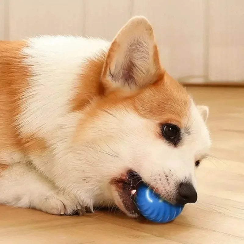 Balle Interactive Automatique pour Chiens – Balle Sautante et Rechargeable USB