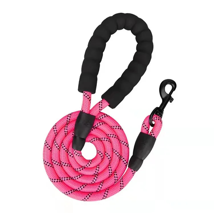 Laisse Réfléchissante en Nylon pour Chien – Résistante et Confortable