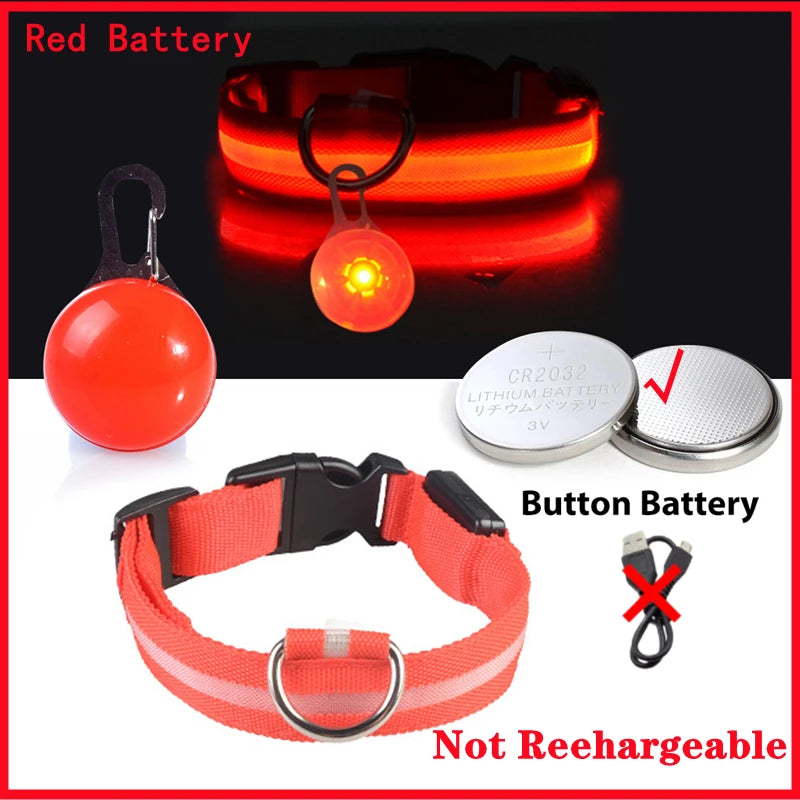 Collier Lumineux USB pour Chien & Chat – LED Sécurité de Nuit avec Pendentif