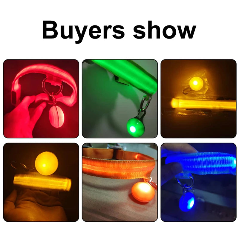 Collier Lumineux USB pour Chien & Chat – LED Sécurité de Nuit avec Pendentif