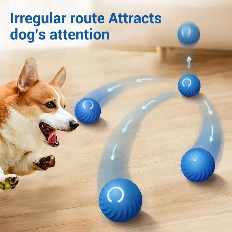 Balle Interactive Automatique pour Chiens – Balle Sautante et Rechargeable USB