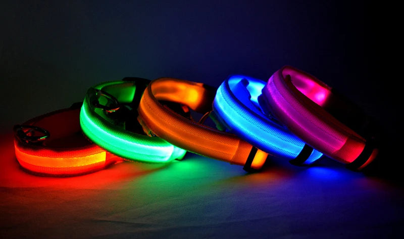 Collier Lumineux USB pour Chien & Chat – LED Sécurité de Nuit avec Pendentif