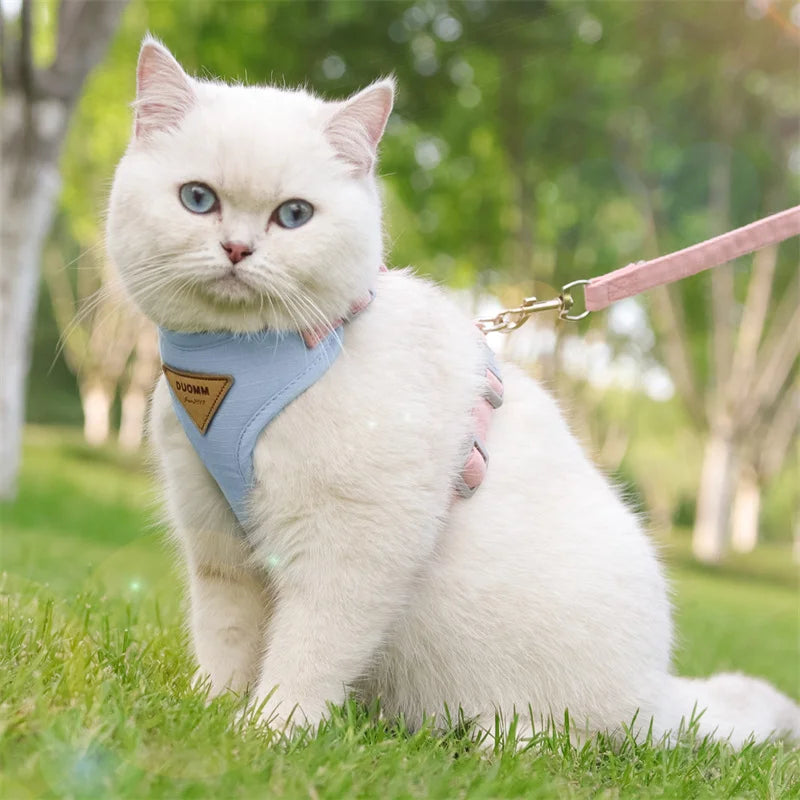Harnais et Laisse pour Chien ou Chat – Ensemble Confortable et Respirant (XS à L)