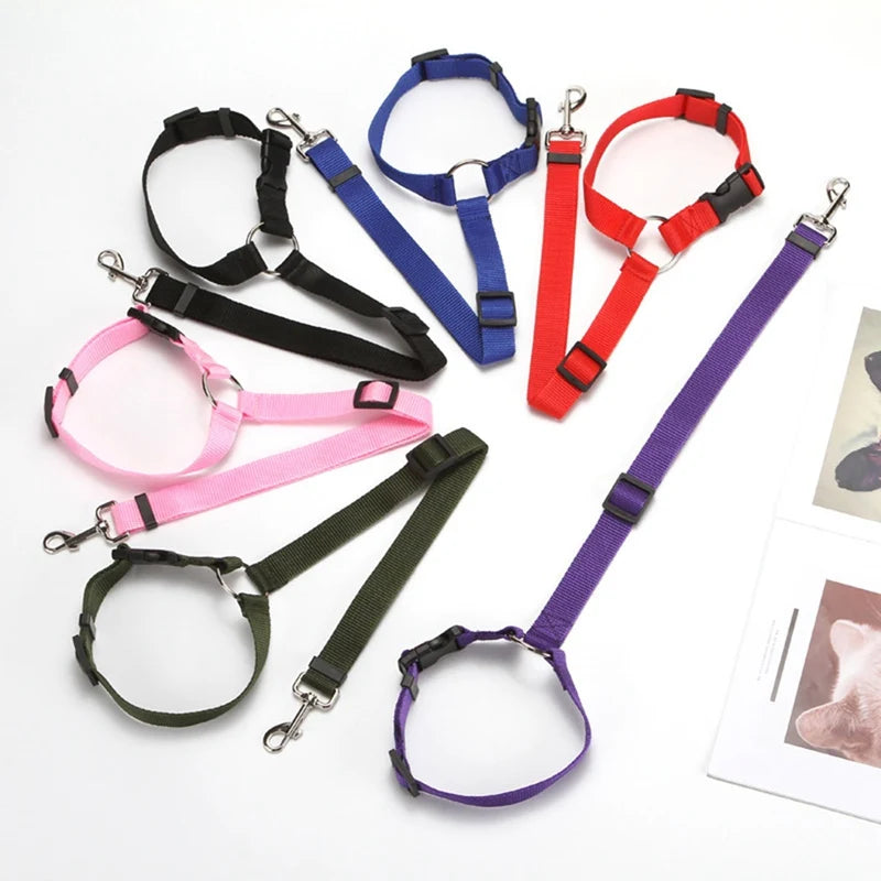 Ceinture de Sécurité 2-en-1 pour Chien – Laisse et Harnais Auto Réglable