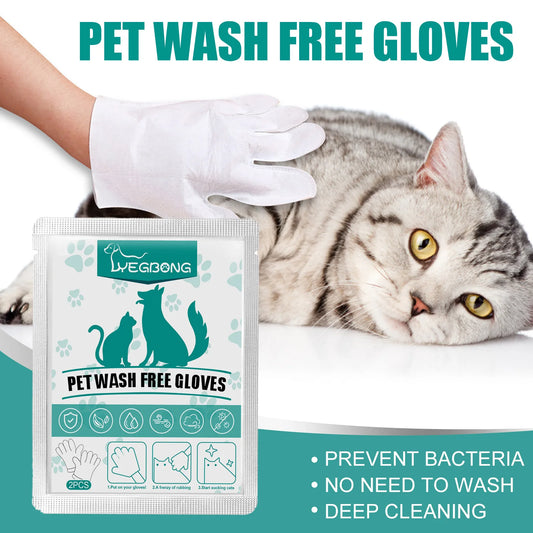 Gants Jetables Nettoyants pour Chiens & Chats – Bain Sec et Désodorisant