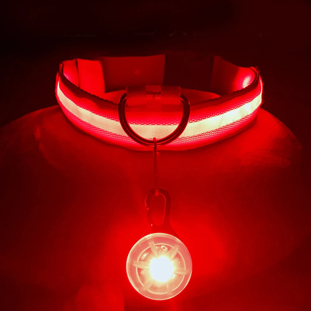Collier Lumineux USB pour Chien & Chat – LED Sécurité de Nuit avec Pendentif