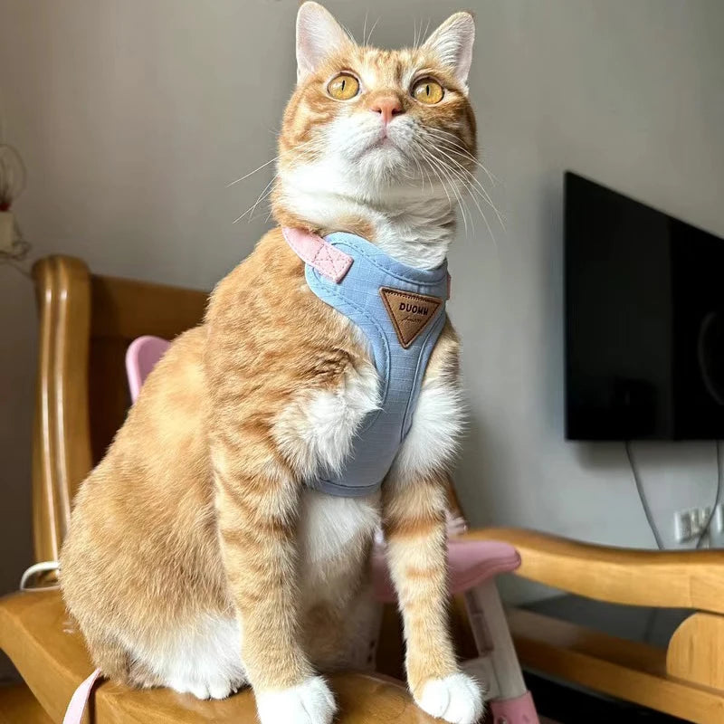 Harnais et Laisse pour Chien ou Chat – Ensemble Confortable et Respirant (XS à L)