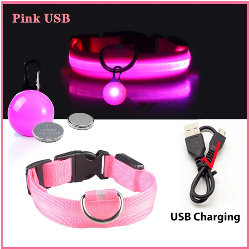 Collier Lumineux USB pour Chien & Chat – LED Sécurité de Nuit avec Pendentif