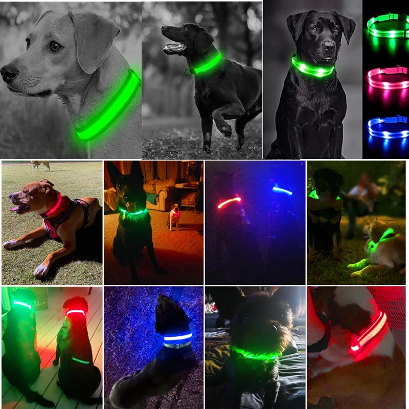 Collier Lumineux USB pour Chien & Chat – LED Sécurité de Nuit avec Pendentif