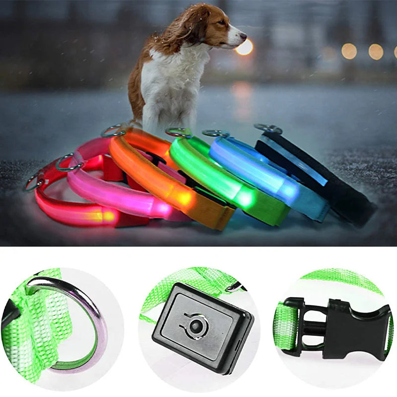 Collier Lumineux USB pour Chien & Chat – LED Sécurité de Nuit avec Pendentif