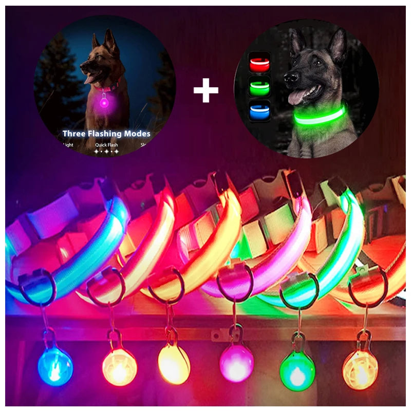 Collier Lumineux USB pour Chien & Chat – LED Sécurité de Nuit avec Pendentif