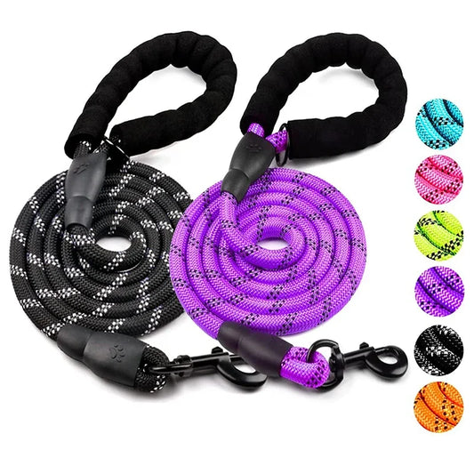 Laisse Réfléchissante en Nylon pour Chien – Résistante et Confortable