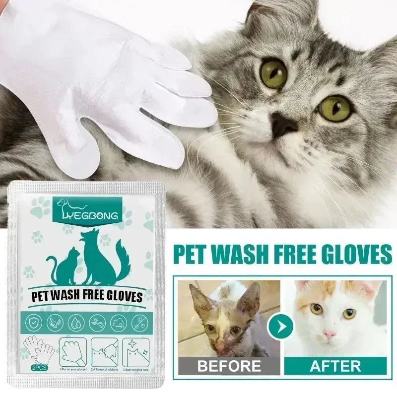 Gants Jetables Nettoyants pour Chiens & Chats – Bain Sec et Désodorisant
