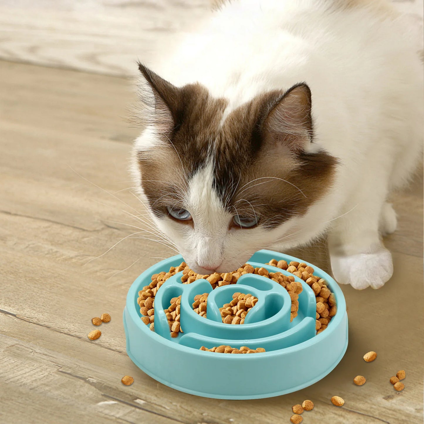 Gamelle Anti-Glouton pour Chien et Chat – Antidérapante