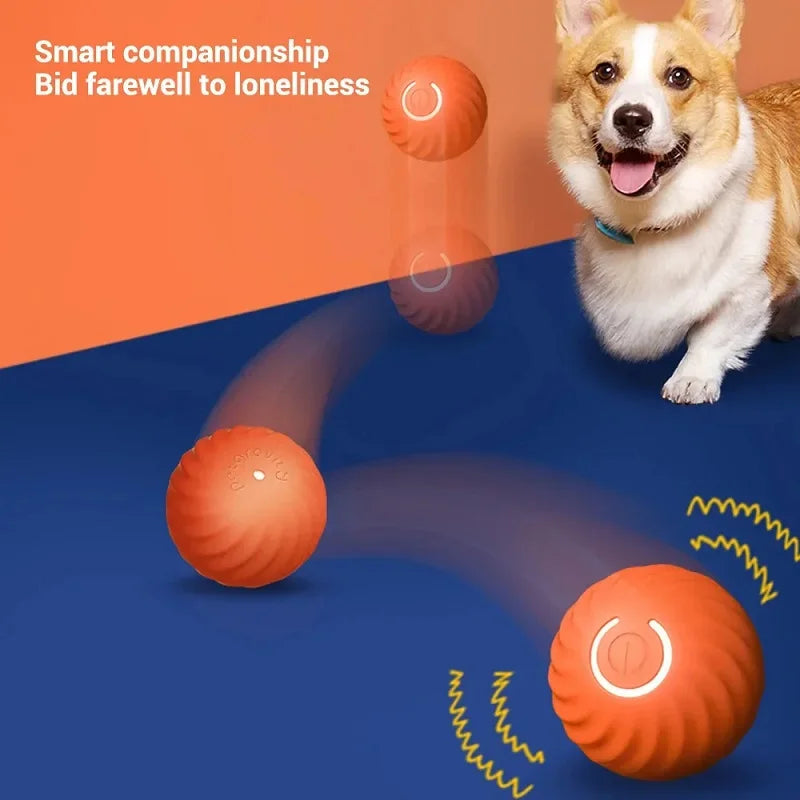 Balle Interactive Automatique pour Chiens – Balle Sautante et Rechargeable USB