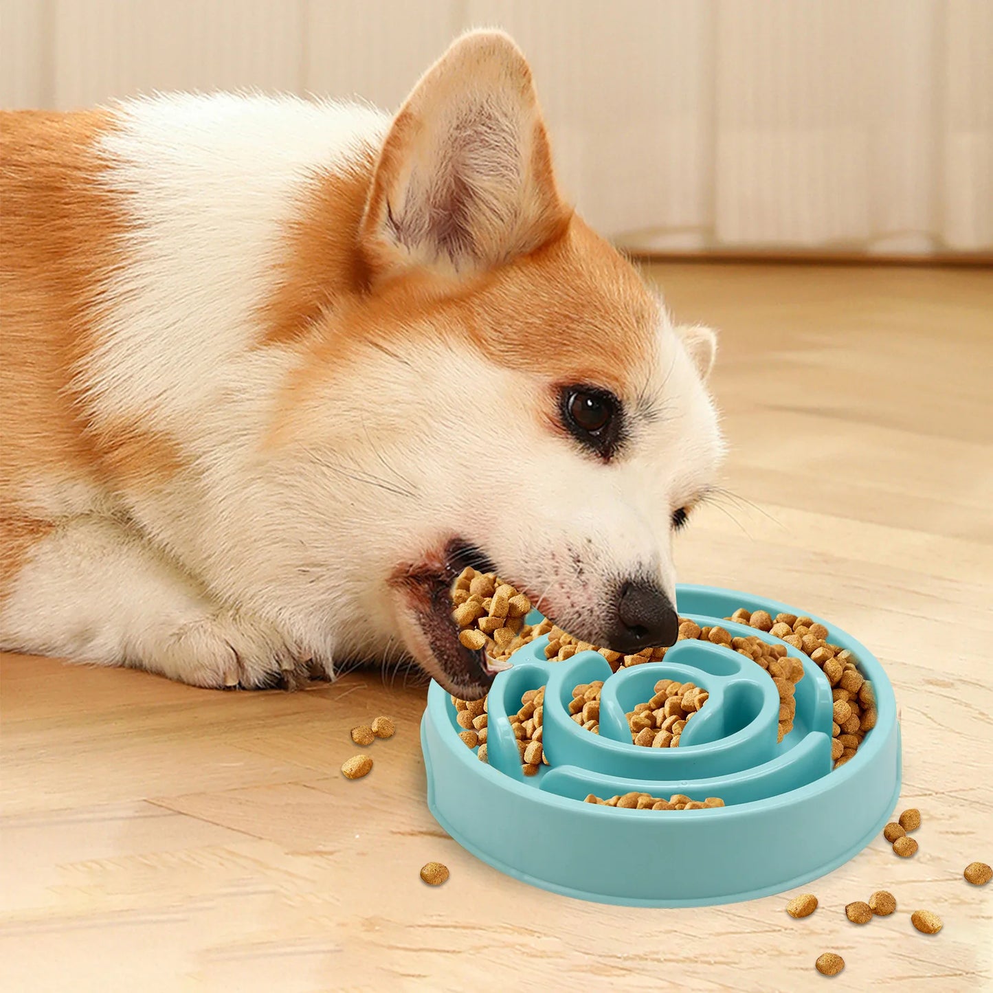 Gamelle Anti-Glouton pour Chien et Chat – Antidérapante