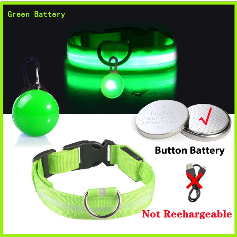 Collier Lumineux USB pour Chien & Chat – LED Sécurité de Nuit avec Pendentif