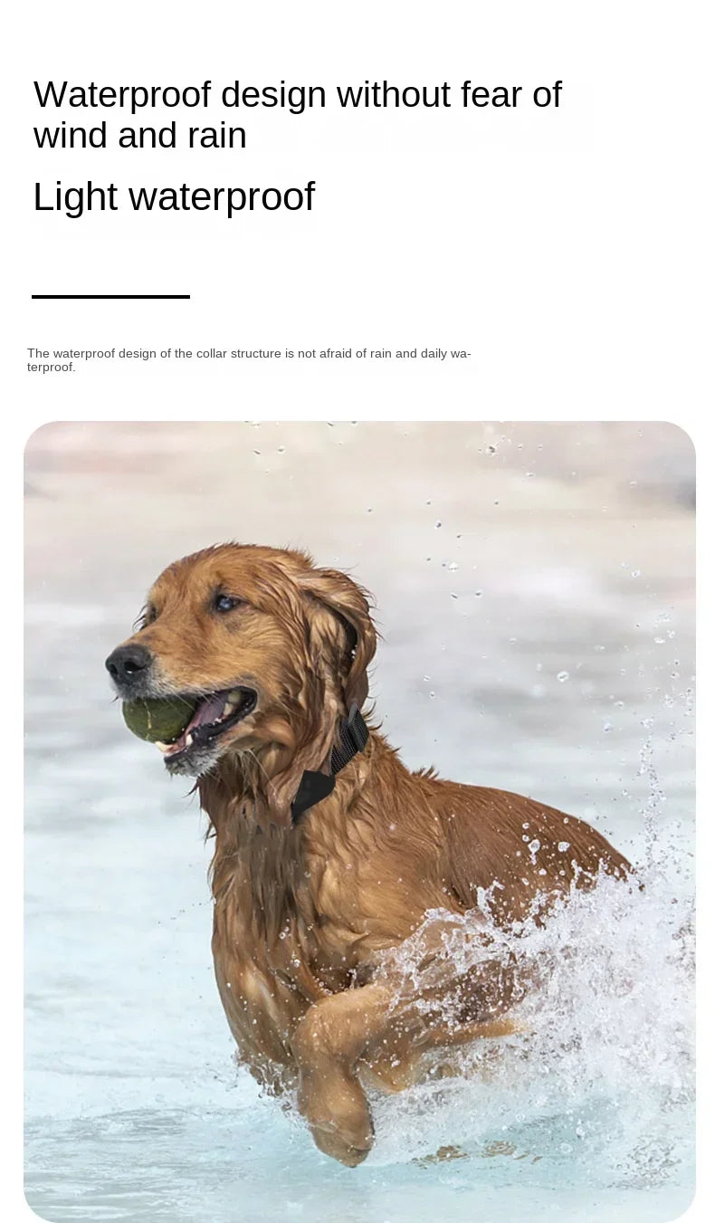 Collier GPS Waterproof pour Chien et Chat – Localisation Bluetooth Anti-Perte (iOS)