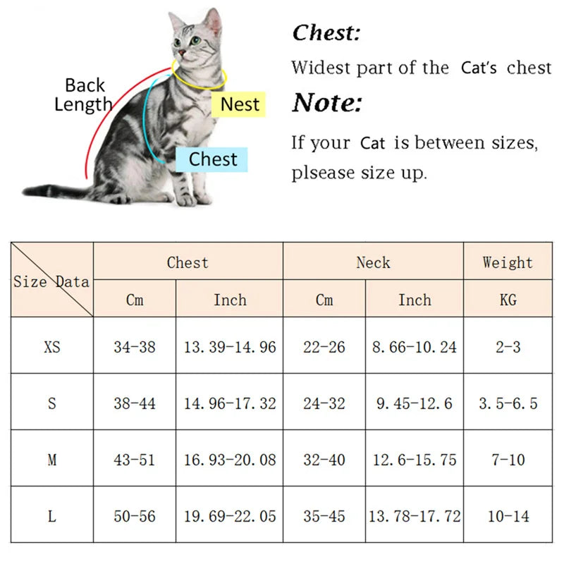 Harnais et Laisse pour Chien ou Chat – Ensemble Confortable et Respirant (XS à L)