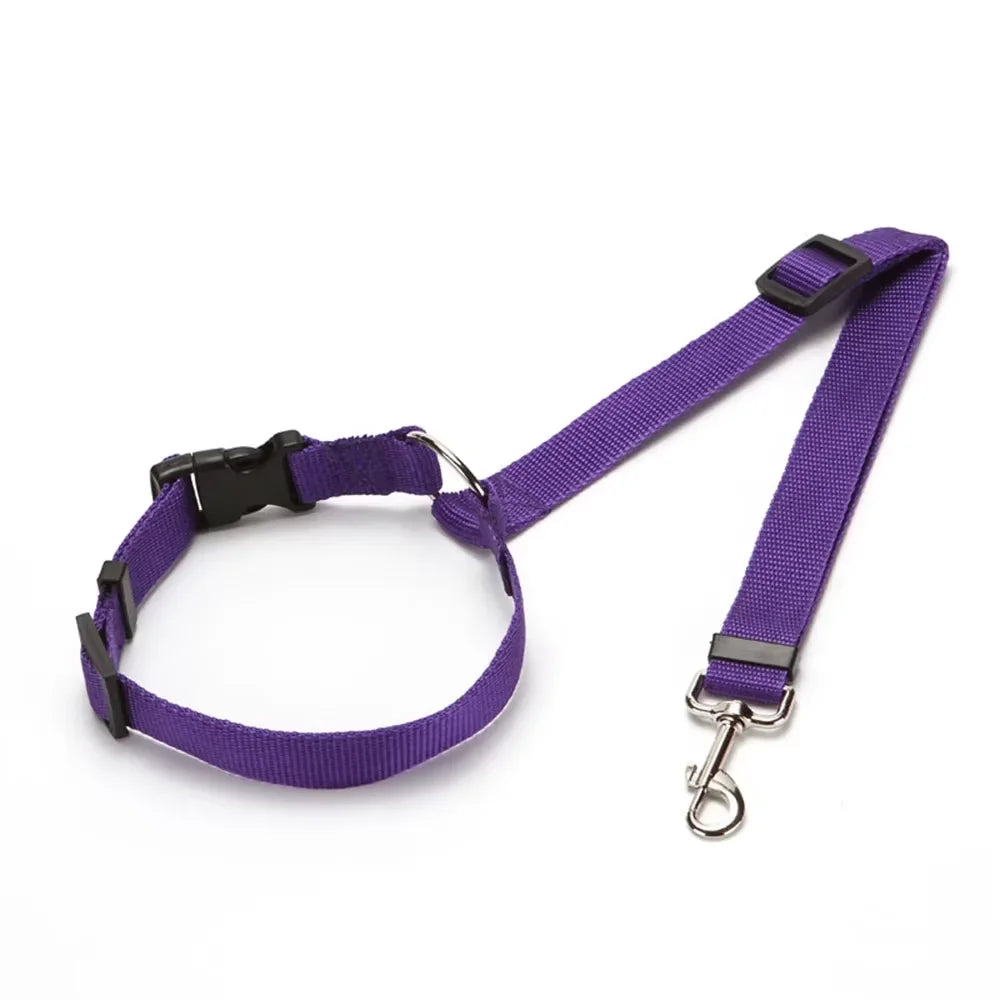 Ceinture de Sécurité 2-en-1 pour Chien – Laisse et Harnais Auto Réglable