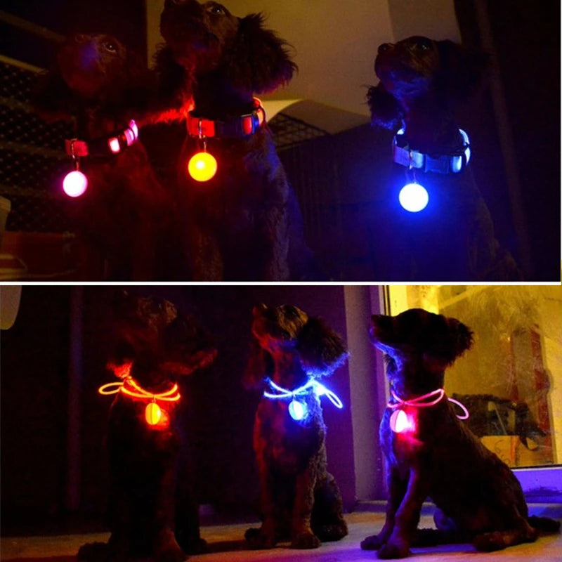 Collier Lumineux USB pour Chien & Chat – LED Sécurité de Nuit avec Pendentif