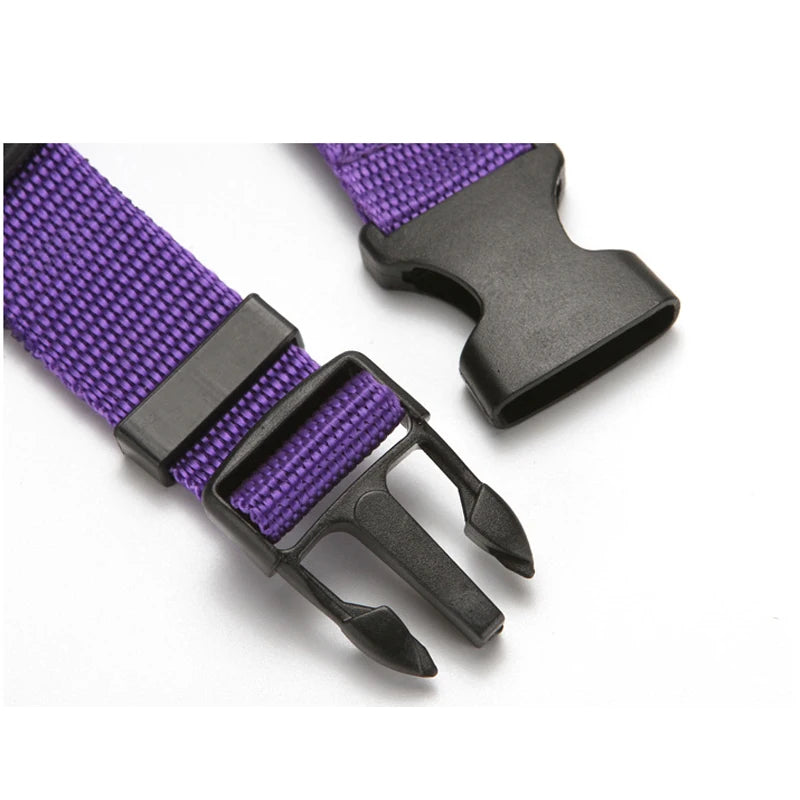 Ceinture de Sécurité 2-en-1 pour Chien – Laisse et Harnais Auto Réglable