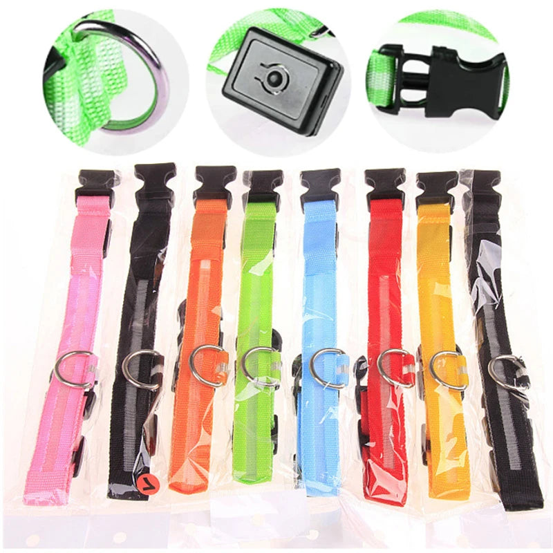 Collier Lumineux USB pour Chien & Chat – LED Sécurité de Nuit avec Pendentif