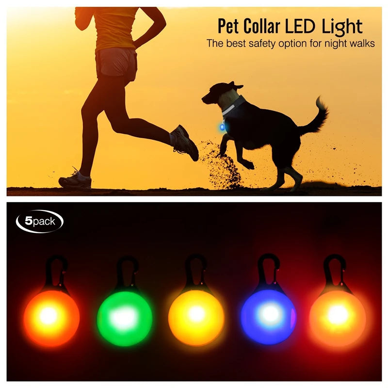 Collier Lumineux USB pour Chien & Chat – LED Sécurité de Nuit avec Pendentif