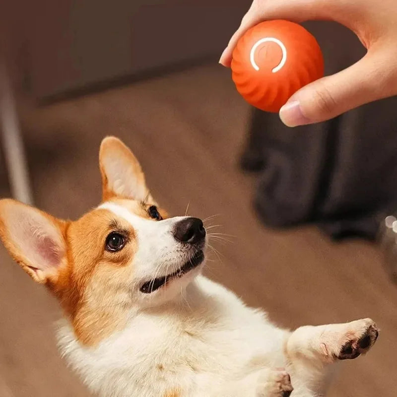 Balle Interactive Automatique pour Chiens – Balle Sautante et Rechargeable USB