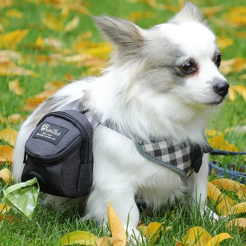 Pochette de Dressage pour Chien – Sac à Friandises et Distributeur de Sacs à Déjections