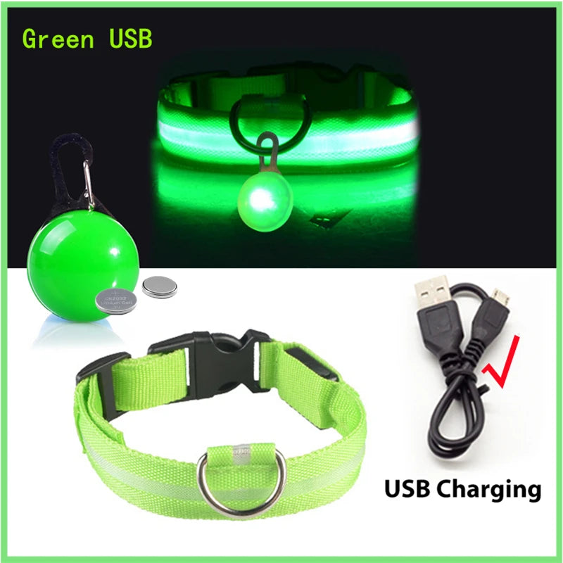 Collier Lumineux USB pour Chien & Chat – LED Sécurité de Nuit avec Pendentif