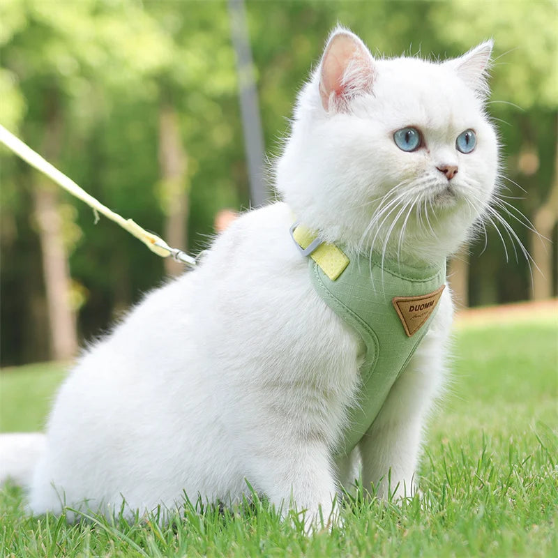 Harnais et Laisse pour Chien ou Chat – Ensemble Confortable et Respirant (XS à L)