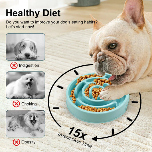 Gamelle Anti-Glouton pour Chien et Chat – Antidérapante