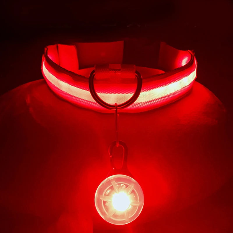 Collier Lumineux USB pour Chien & Chat – LED Sécurité de Nuit avec Pendentif