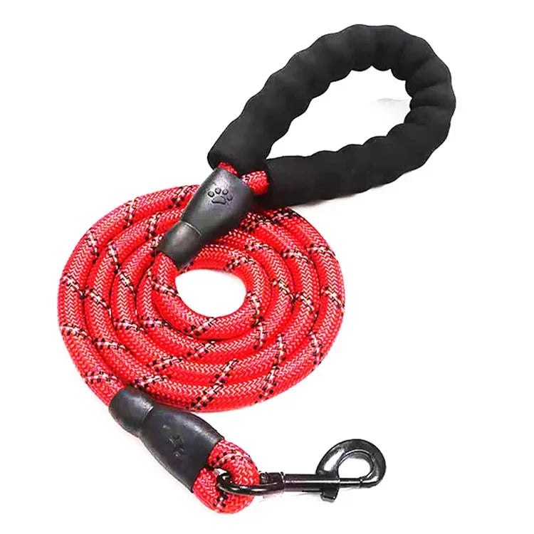 Laisse Réfléchissante en Nylon pour Chien – Résistante et Confortable