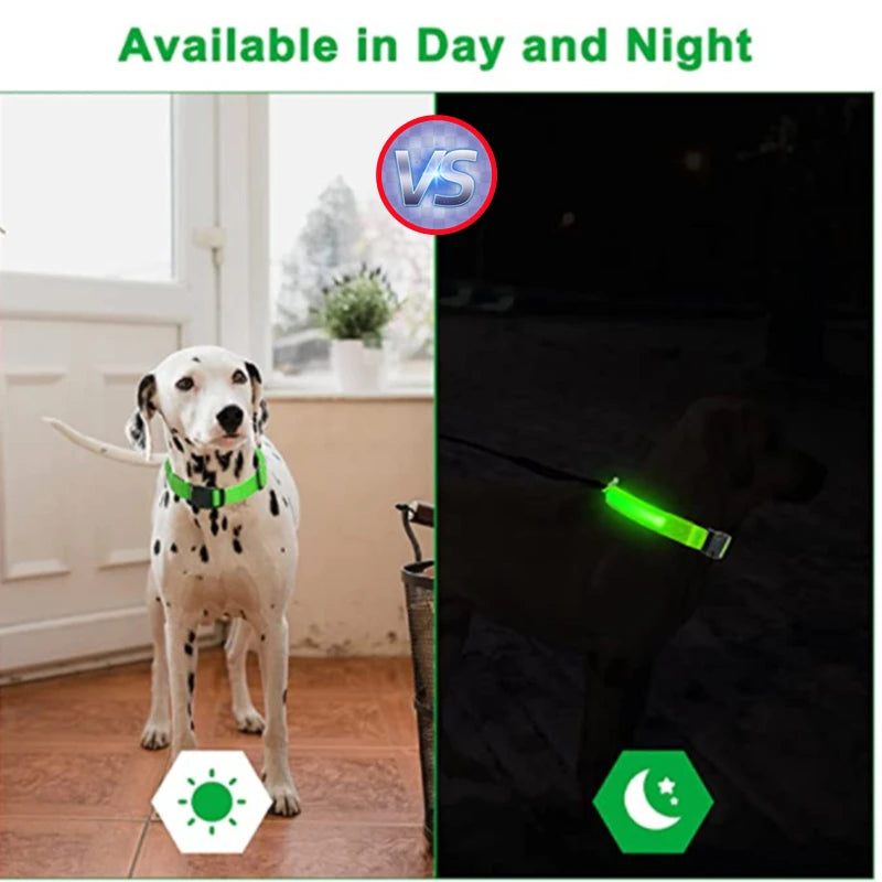 Collier Lumineux USB pour Chien & Chat – LED Sécurité de Nuit avec Pendentif