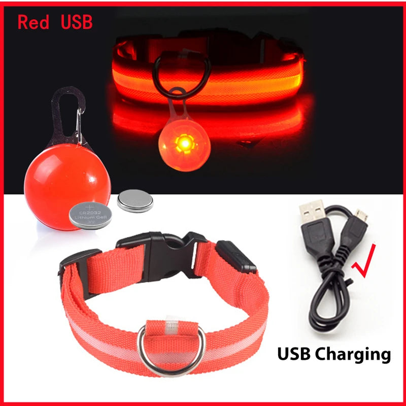 Collier Lumineux USB pour Chien & Chat – LED Sécurité de Nuit avec Pendentif