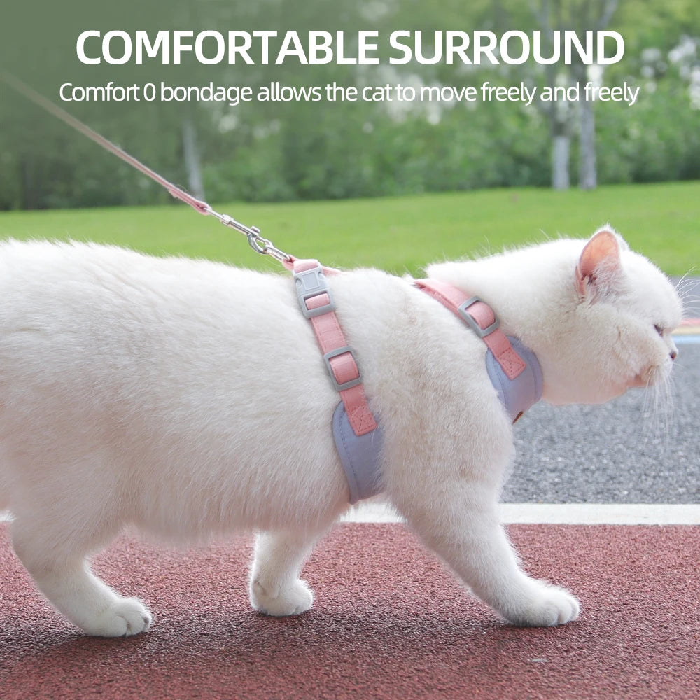 Harnais et Laisse pour Chien ou Chat – Ensemble Confortable et Respirant (XS à L)