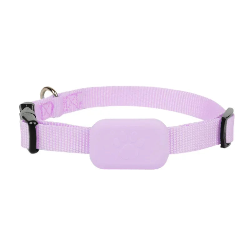 Collier GPS Waterproof pour Chien et Chat – Localisation Bluetooth Anti-Perte (iOS)