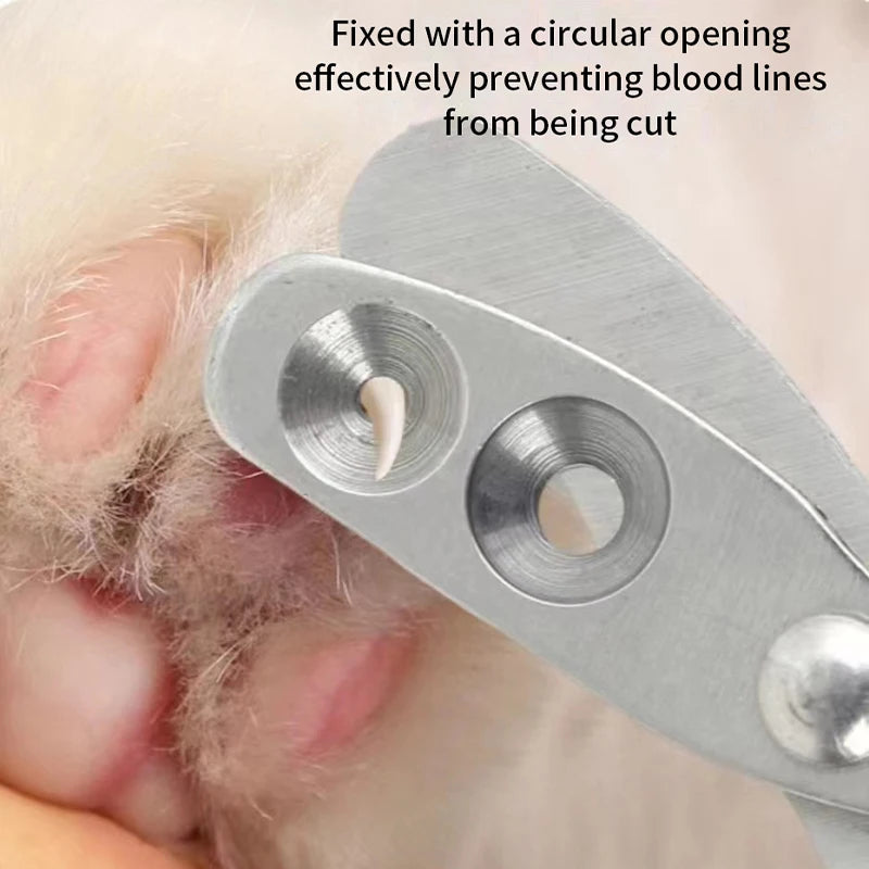 Coupe-Griffes Professionnel pour Chat & Petit Chien – Acier Inoxydable