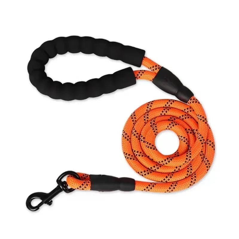 Laisse Réfléchissante en Nylon pour Chien – Résistante et Confortable