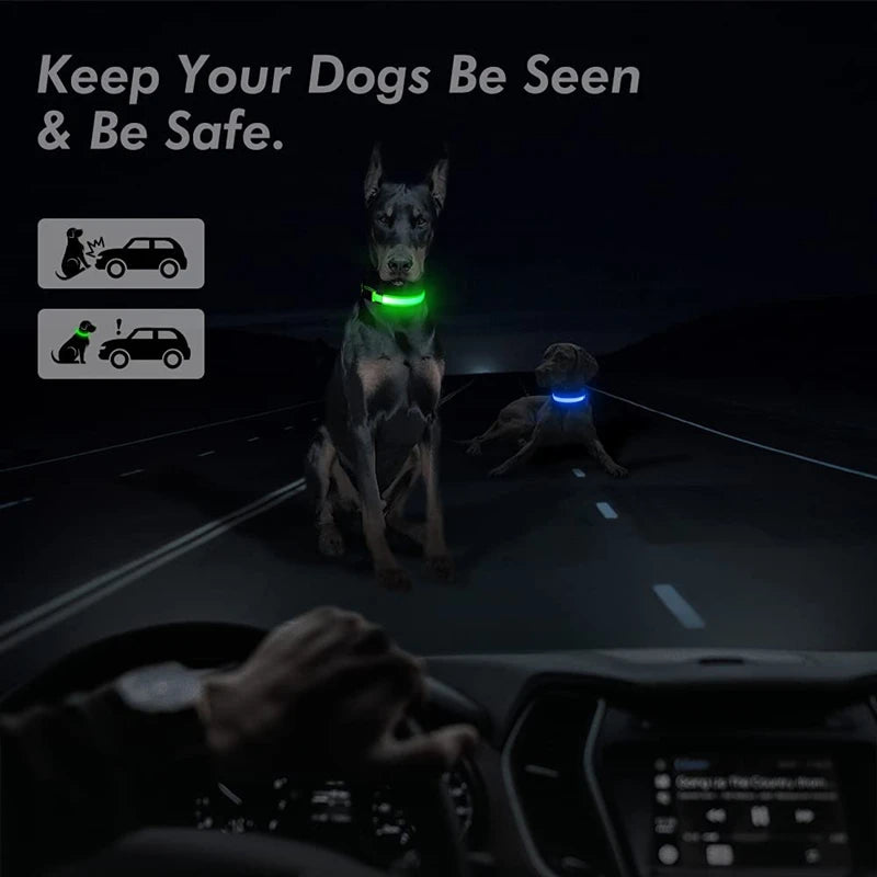 Collier Lumineux USB pour Chien & Chat – LED Sécurité de Nuit avec Pendentif