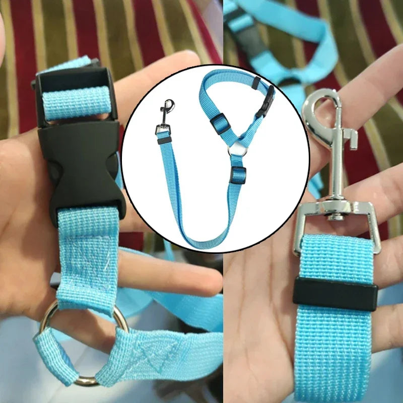 Ceinture de Sécurité 2-en-1 pour Chien – Laisse et Harnais Auto Réglable