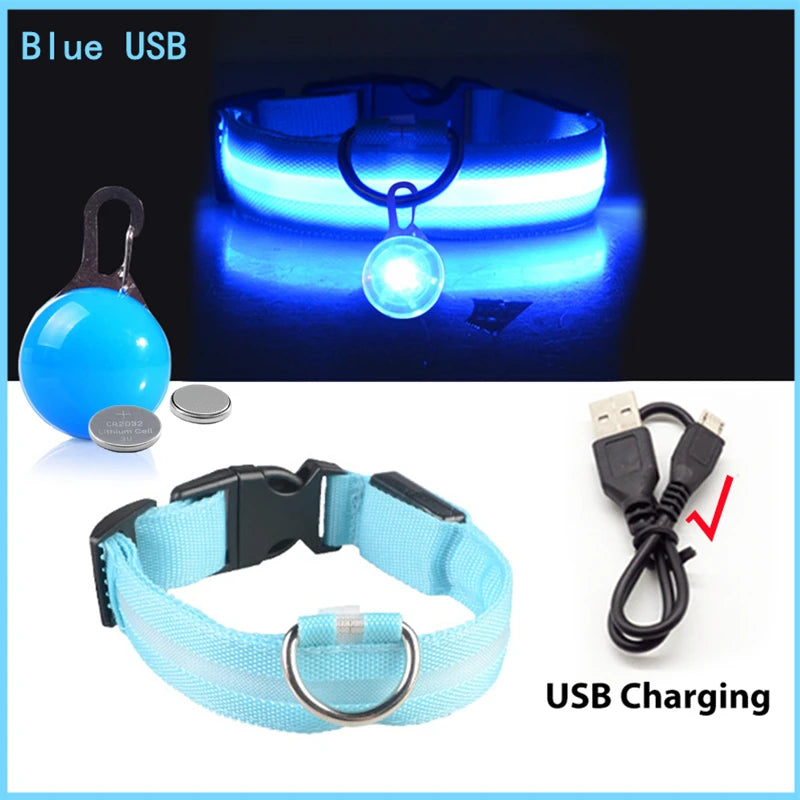 Collier Lumineux USB pour Chien & Chat – LED Sécurité de Nuit avec Pendentif